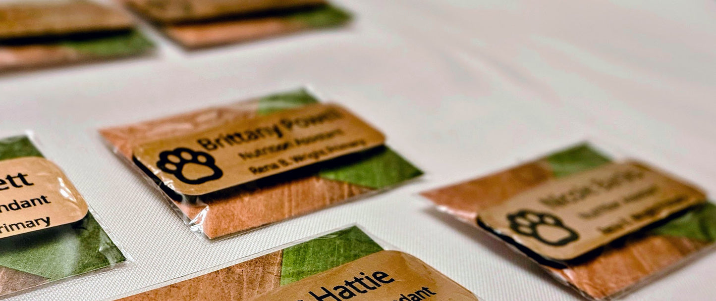 Magnetic Name Tags